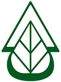 pelita